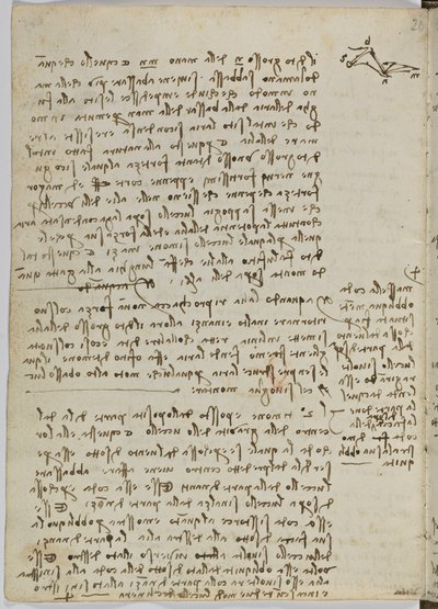 Código sobre el vuelo de los pájaros, c. 1505-06, manuscrito en papel, cc. 18, hoja 13 verso de Leonardo da Vinci